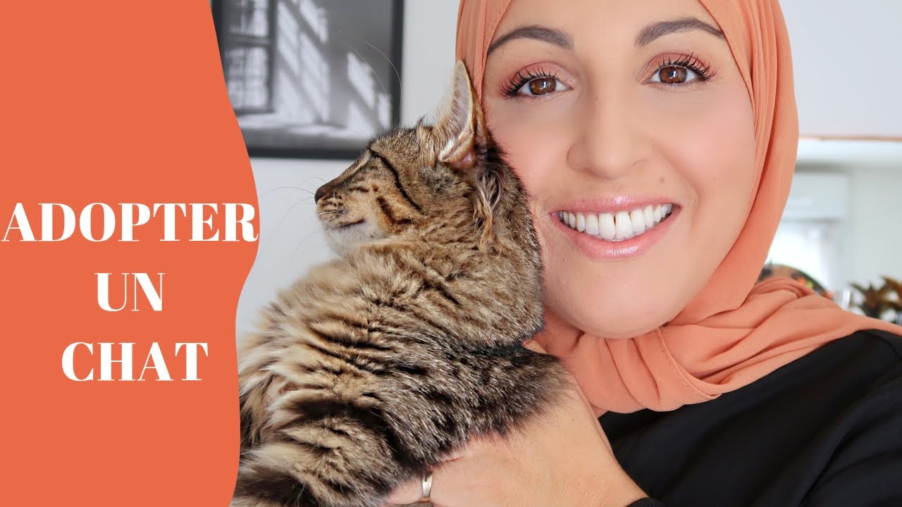 CE QU'IL FAUT PRÉVOIR AVANT D'ADOPTER UN CHATON /CHAT !