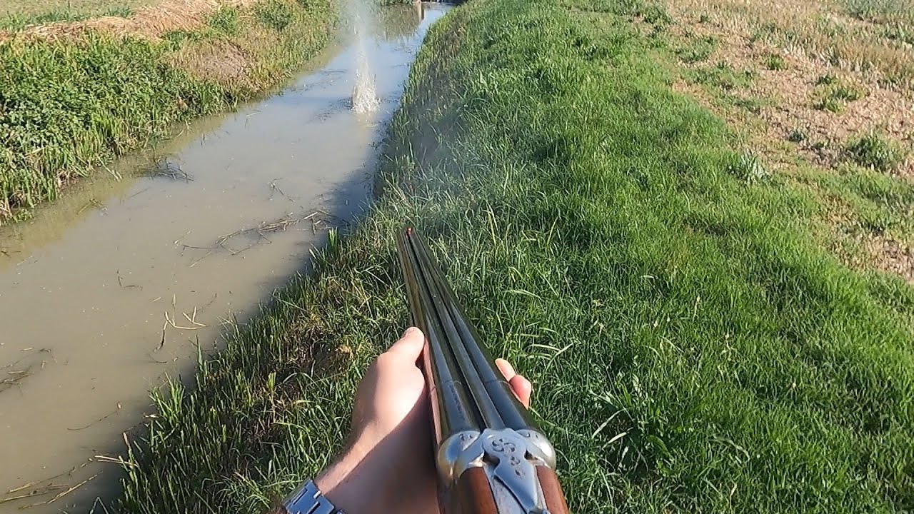 Piani di controllo - Prima uscita a caccia di nutrie