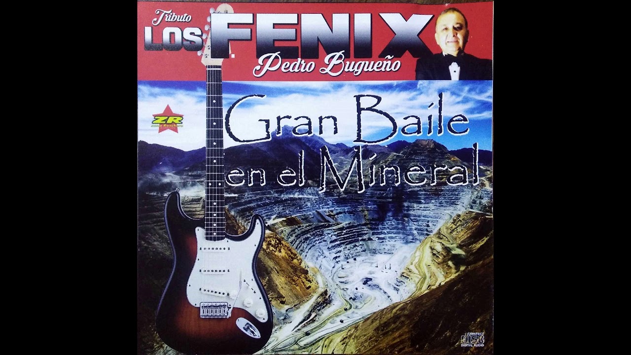 Tributos A Los Fenix - Gran Bailable En El Mineral - PEDRO BUGUEÑO