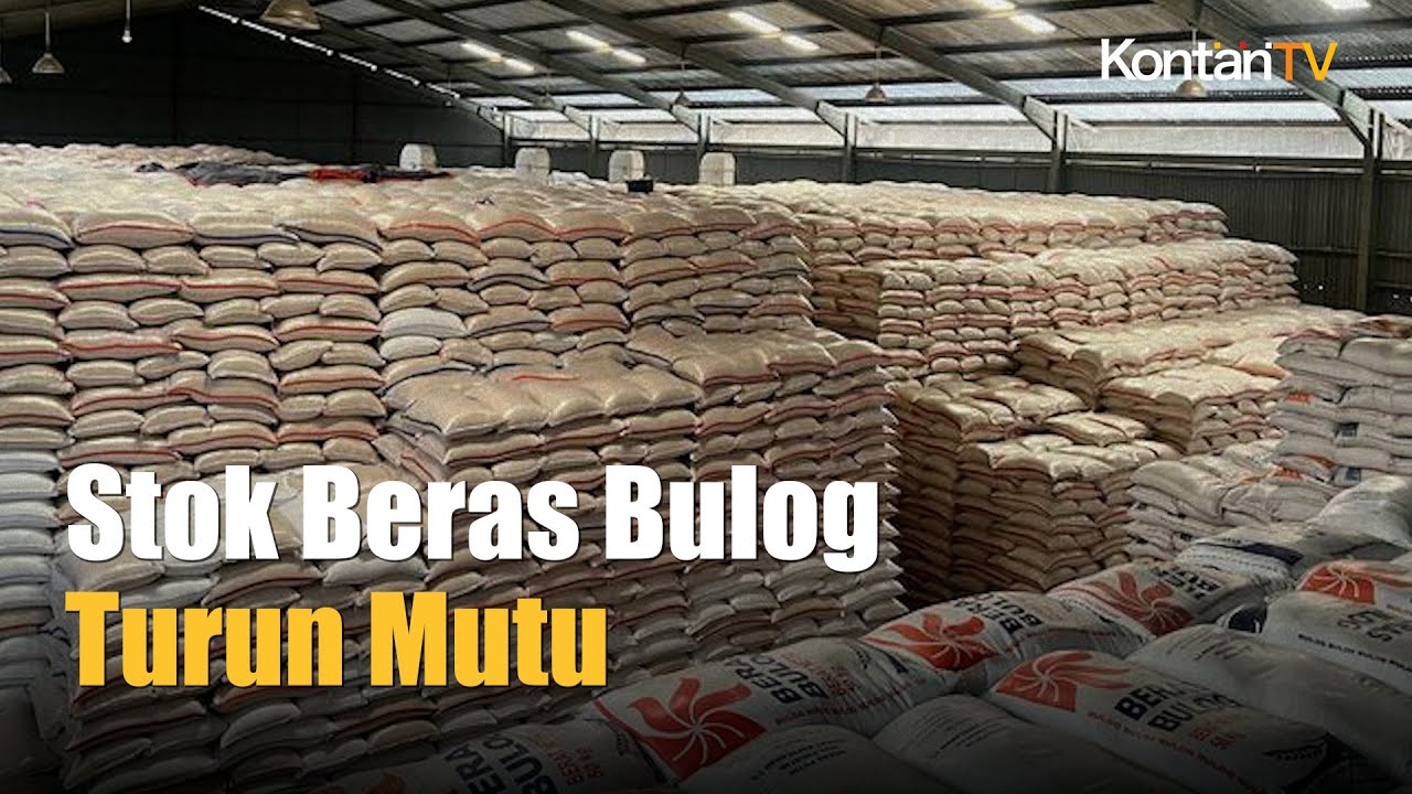 Beras Lama Menumpuk di Bulog, Kerugian Negara Ditaksir Rp 1,2 Triliun | Kontan News