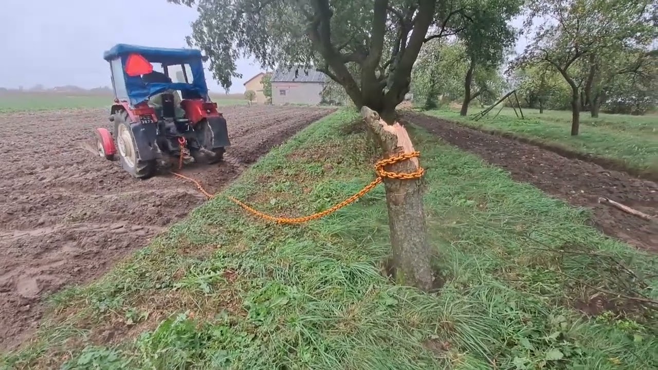 Wyrywanie zęba? c 330 w akcji engine sound czyli prawdziwy ryk silnika