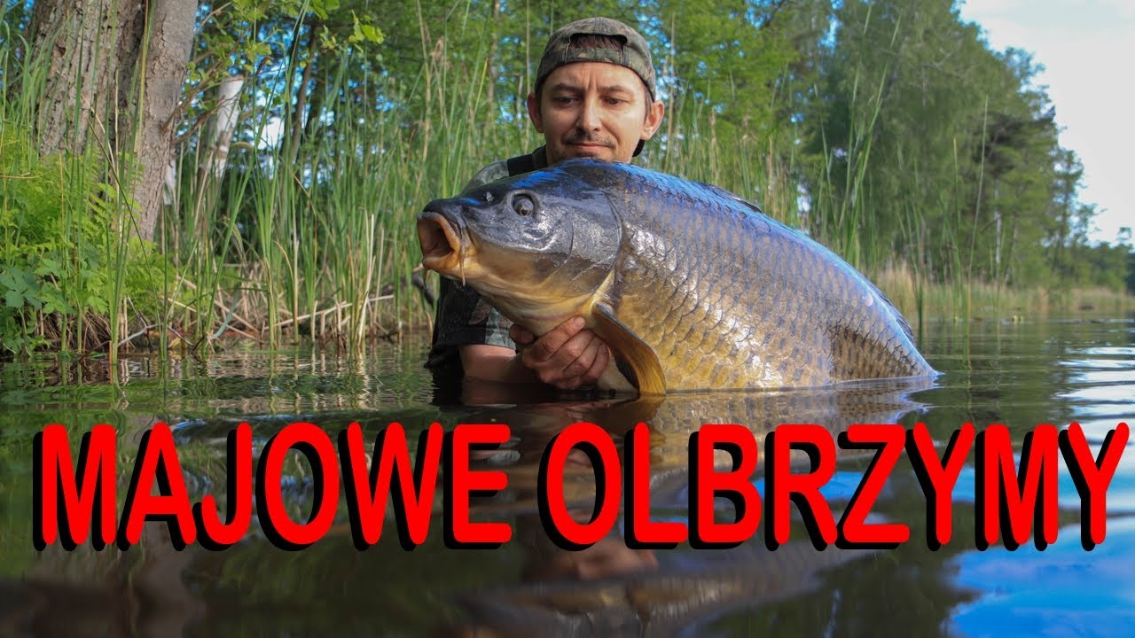 Majowe Olbrzymy Nad Wodą #34