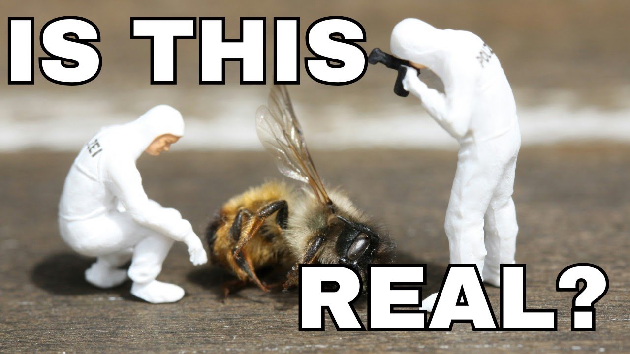 The Line Between What's REAL and What's AI is Blurring