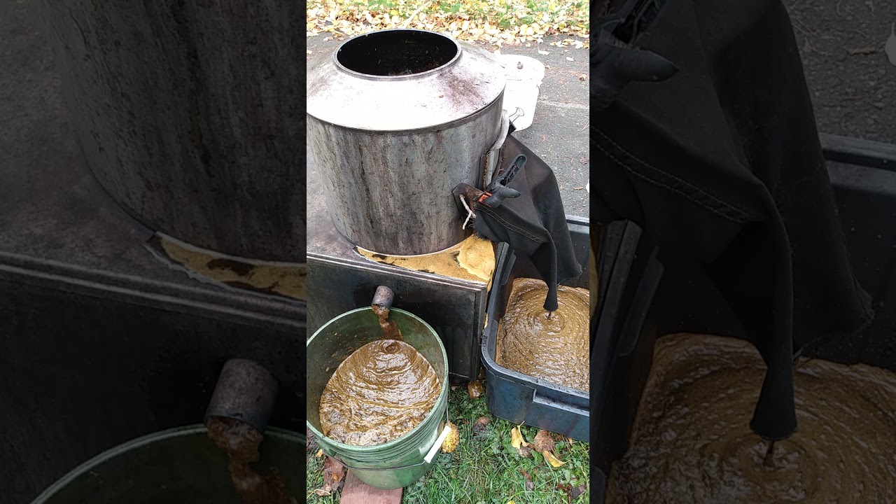 Hulling Black Walnuts With a Potato Peeler