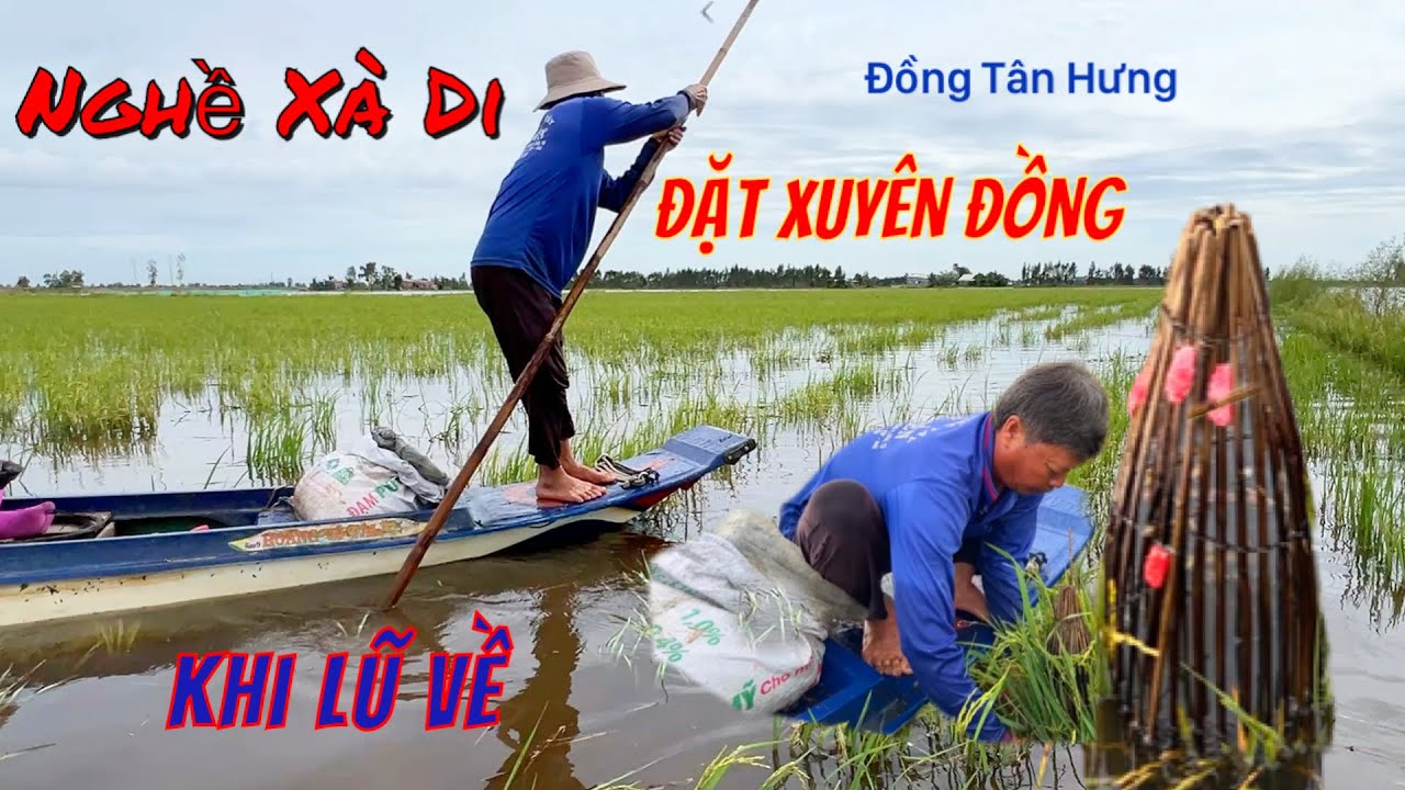 Lũ về xớm cá chạy bể tay vợ chồng anh chị út hôm nay trúng đậm cá rô đồng 