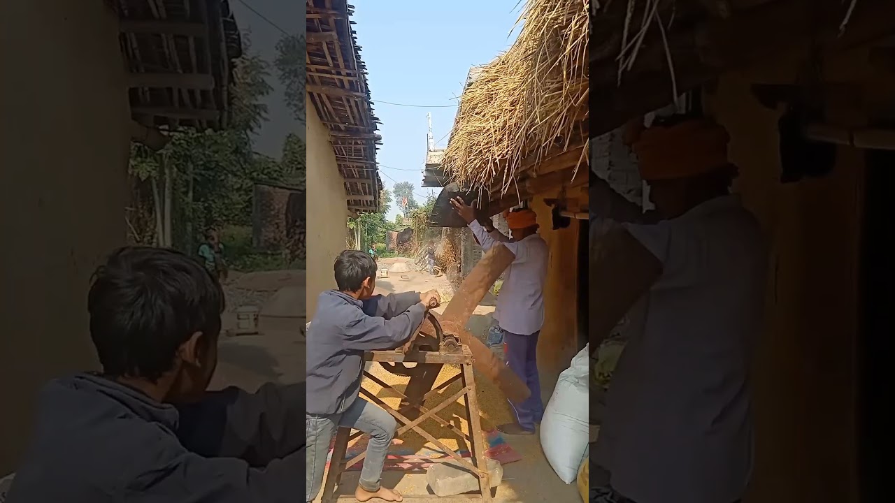 निष्पावन!!ओसाना!! winnowing