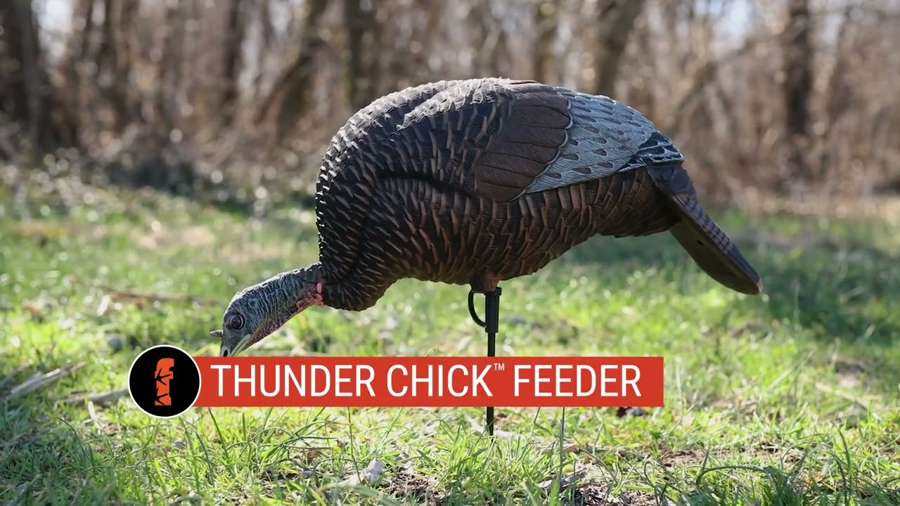 Sportsmans Warehouse  X  Flextone: Jake and Feeder Hen Combo