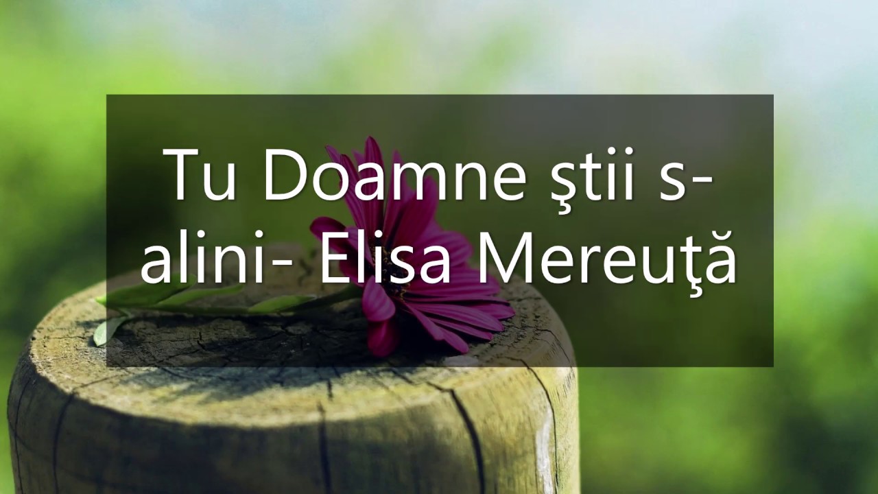 Tu Doamne ştii s-alini- Elisa Mereuţă