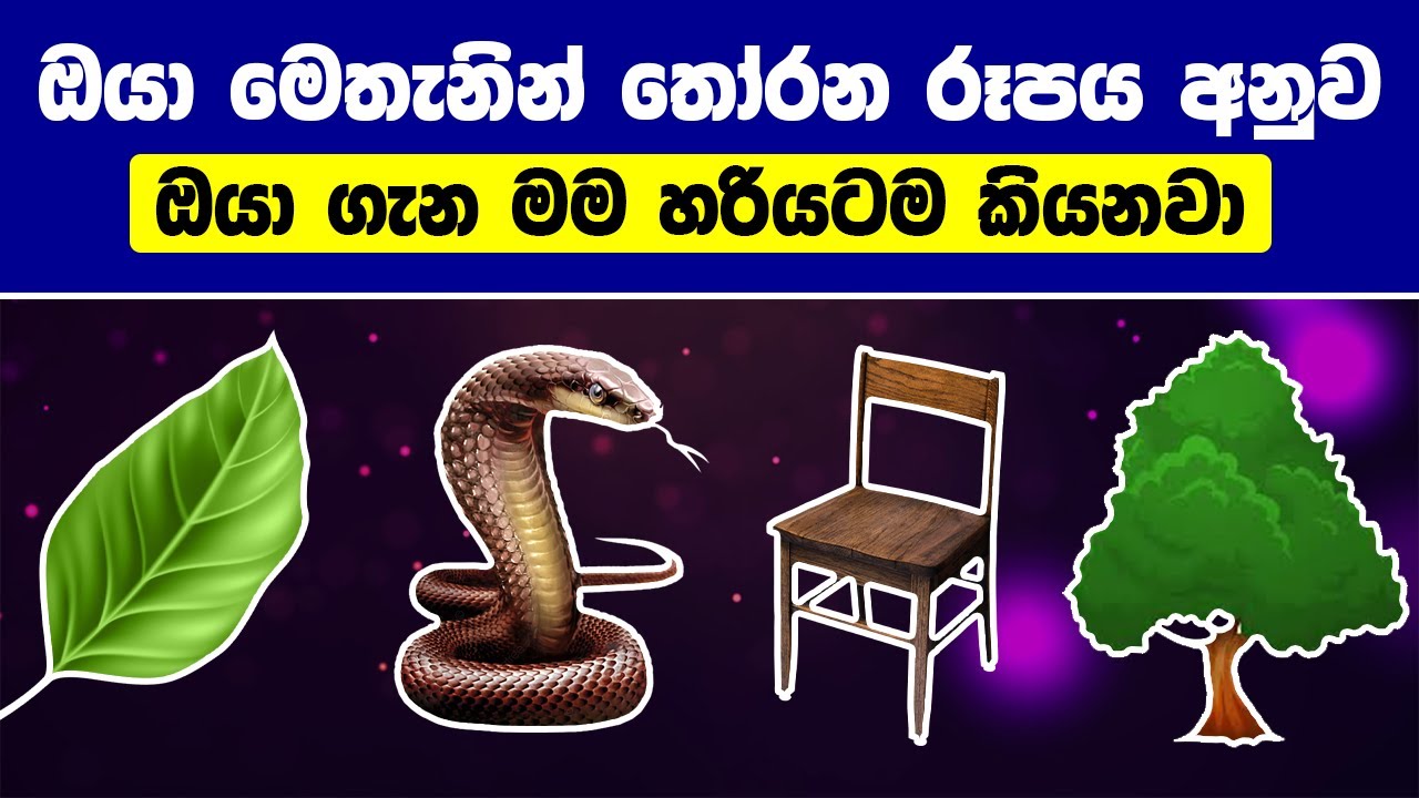 ඔයා ආස රූපයක් මෙතැනින් තෝරන්න ඔයා ගැන රහස් මම හරියටම කියනවා | About You - Personality Test Sinhala