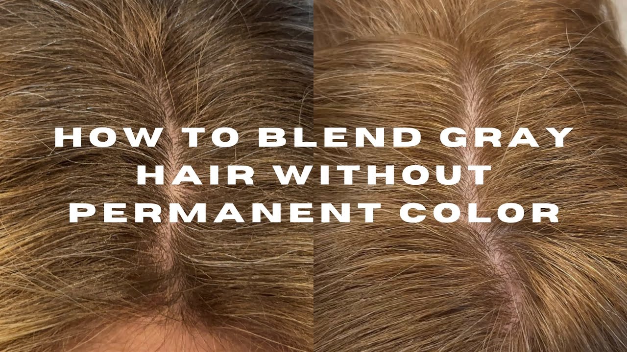 GRAY BLENDING, NO PERMANENT COLOR | using redken shades alk