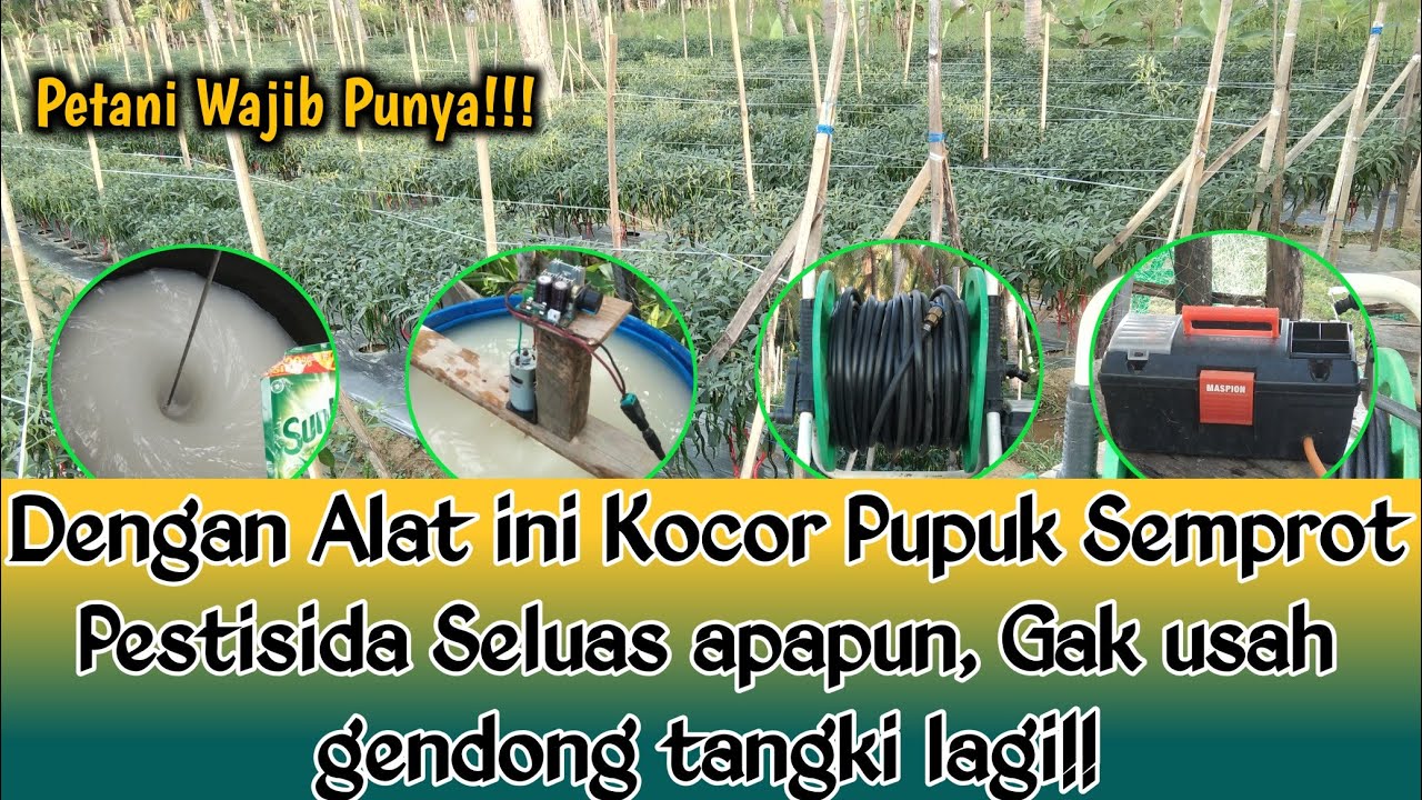 INI DIA... ALAT KOCOR PUPUK, SEMPROT CABE TANPA GENDONG LAGI