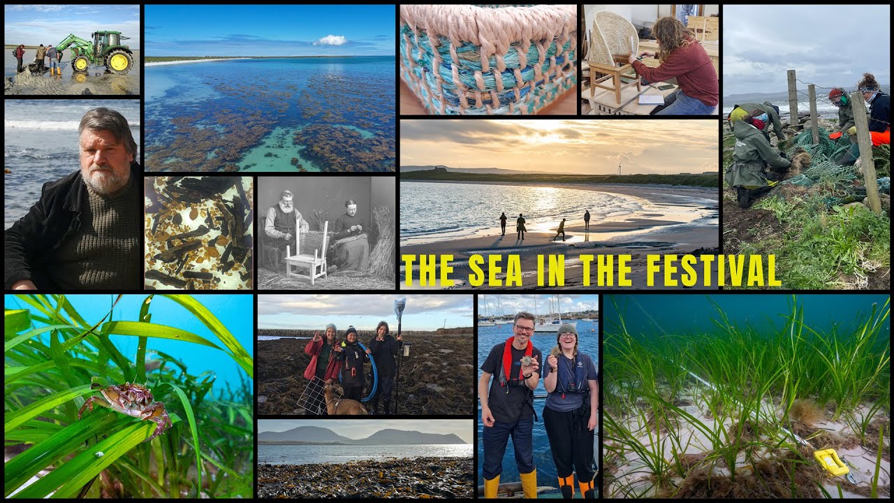 THE SEA IN THE FESTIVAL