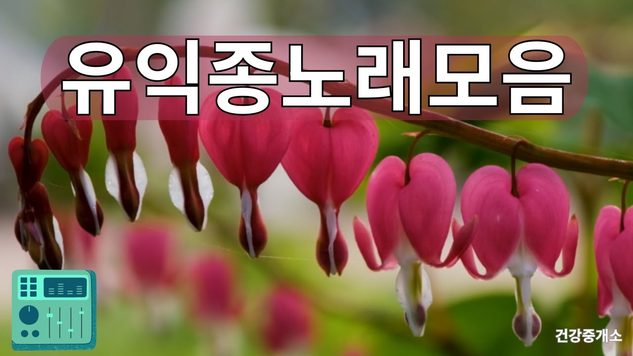 유익종 추억의노래 #유익종  #유익종7080 #유익종추억의노래