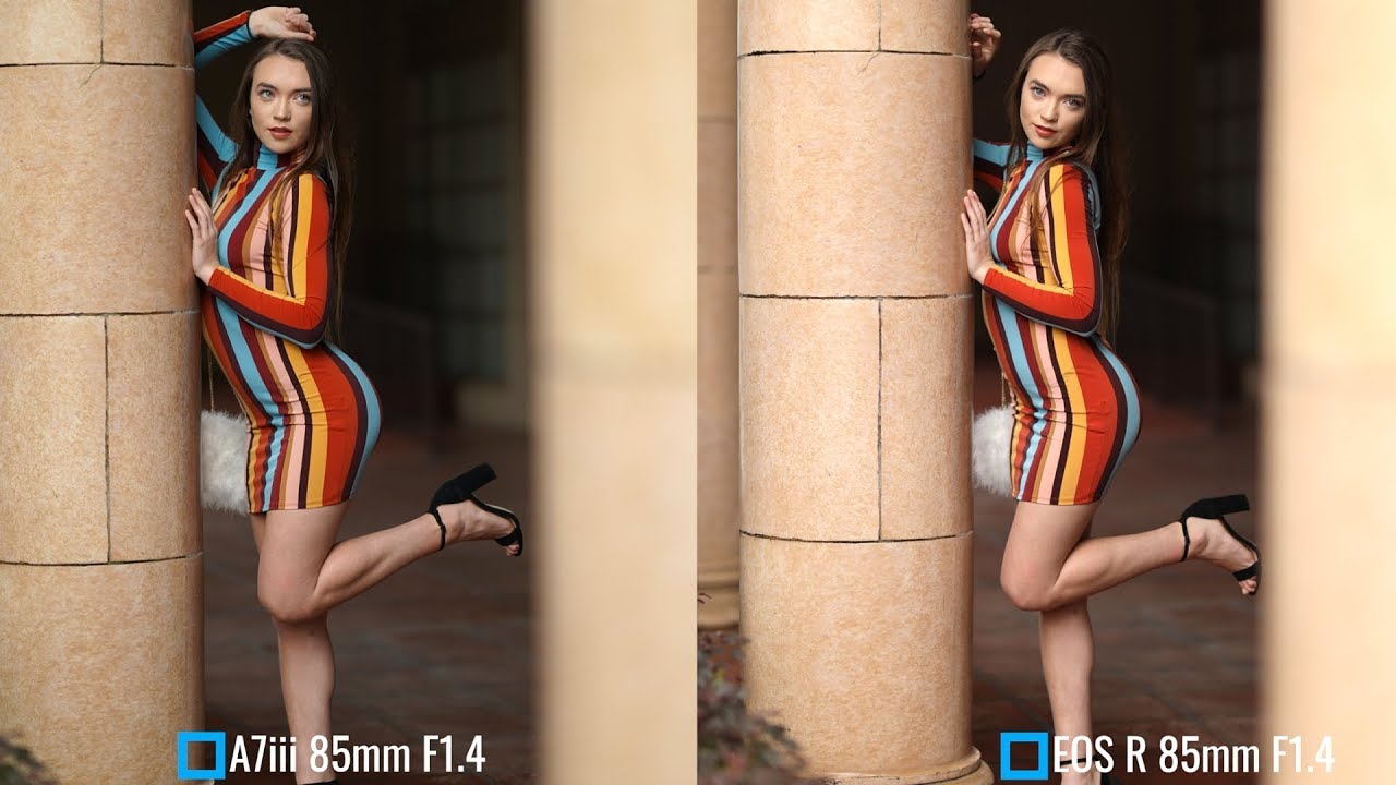 Sony A7iii G Master 85mm F1.4 vs Canon EOS R 85mm F1.4 L w/ @kristenjcounts