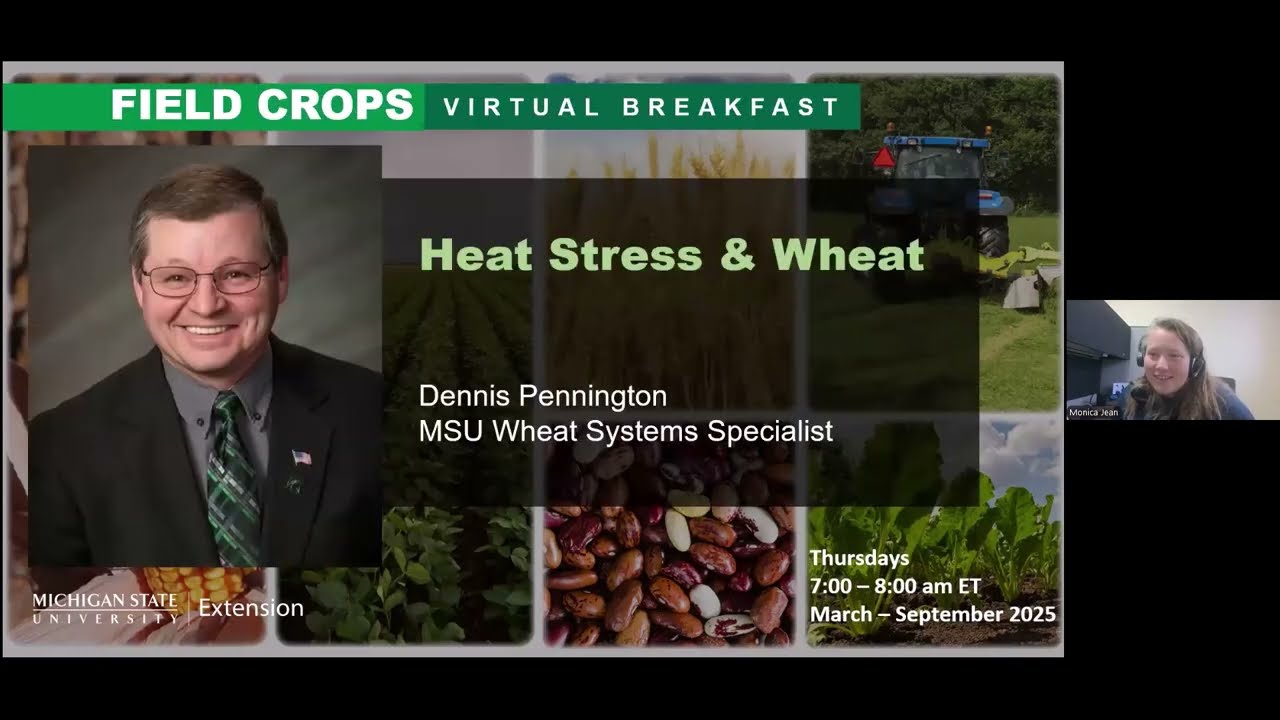 Field Crops Virtual Breakfast: Heat Stress in Winter Wheat