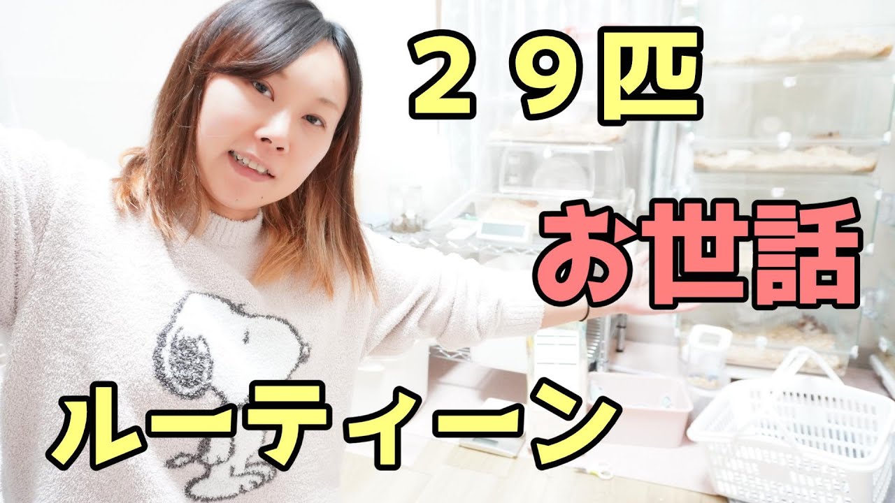 【多頭飼育】お世話モーニングルーティーン＆ナイトルーティーン