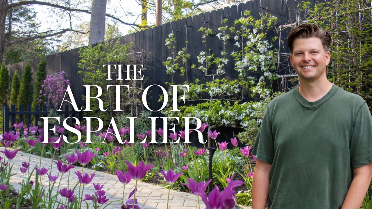 How We Use Espalier in Our Garden: Trees, Vines & Design Ideas | Gardener in Love
