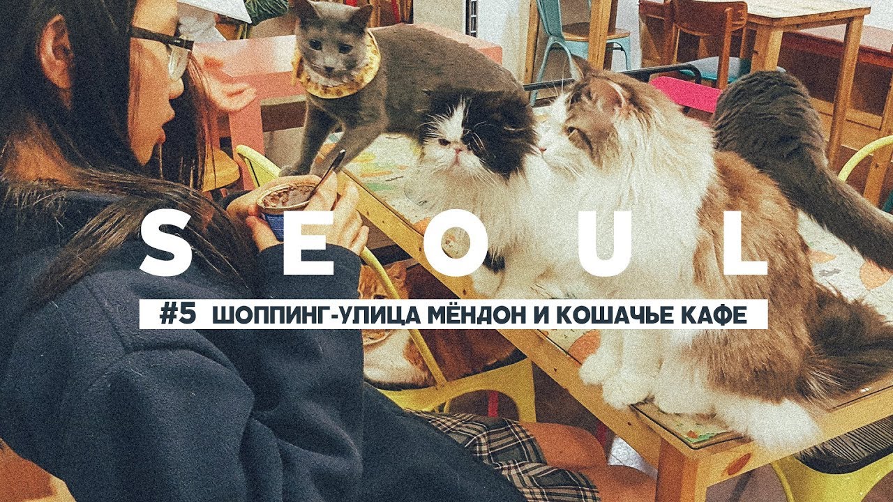 РАЙ ДЛЯ ШОППИНГА В СЕУЛЕ УЛИЦА МЁНДОН и КАФЕ С КОШКАМИ CATS CAFE SEOUL, ЮЖНАЯ КОРЕЯ ВИДЕО-БЛОГ #5