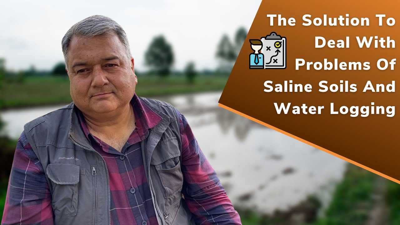 How to deal with the problem of water logging and saline soils?