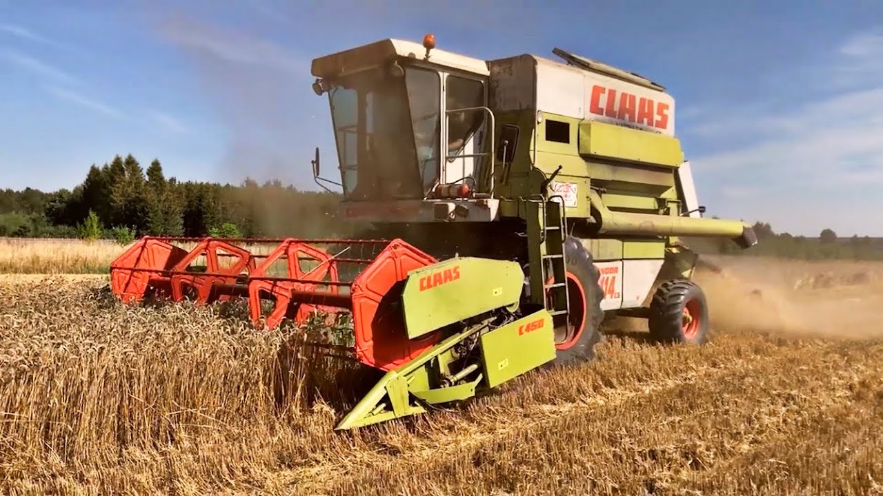 Żniwa 2022 w Gr Grabiccy🟢Claas Commandor 114cs🟢