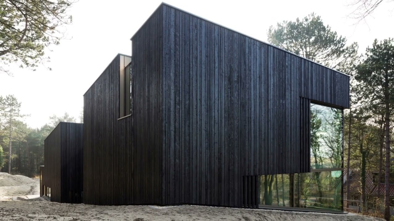 House with burnt wood facade, Netherlands