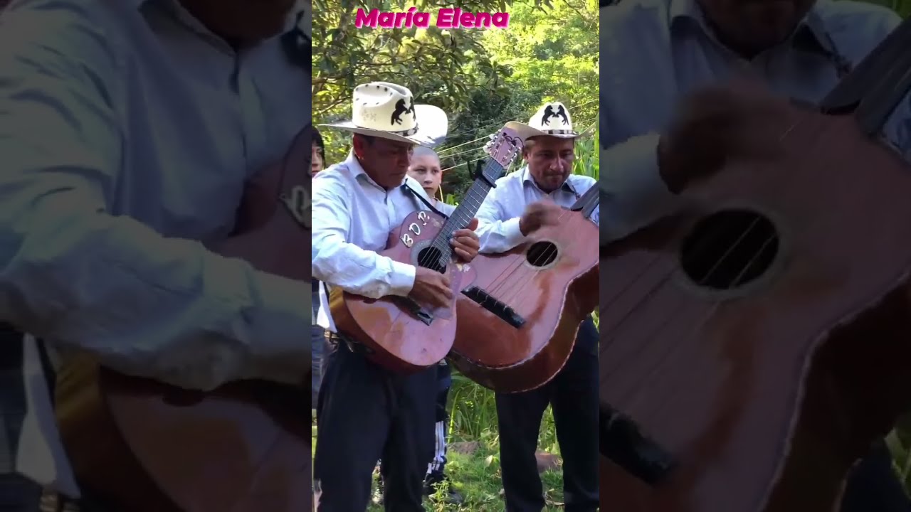 ROSITA S&Aacute;NCHEZ JOVEN SALVADORE&Ntilde;A QUE TALENTO 😱😱😱 #seguidores #video #destacar #talento #fypシviralシ