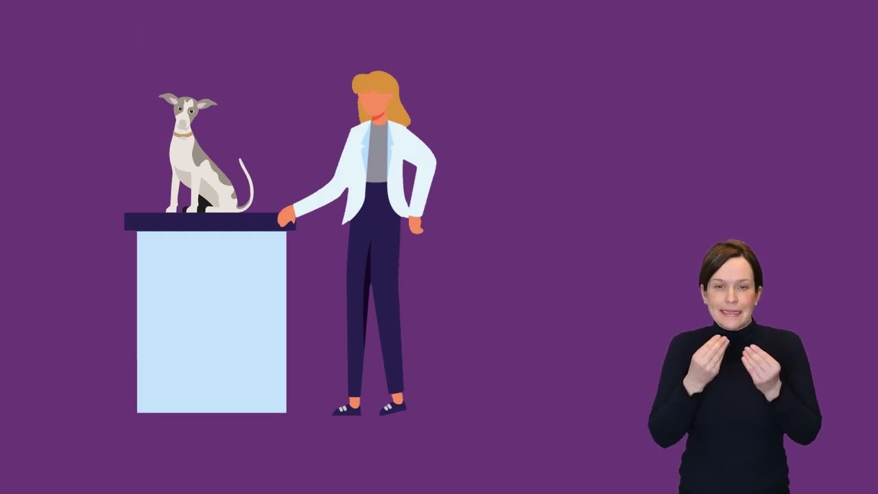 Defra Pet Travel Advice