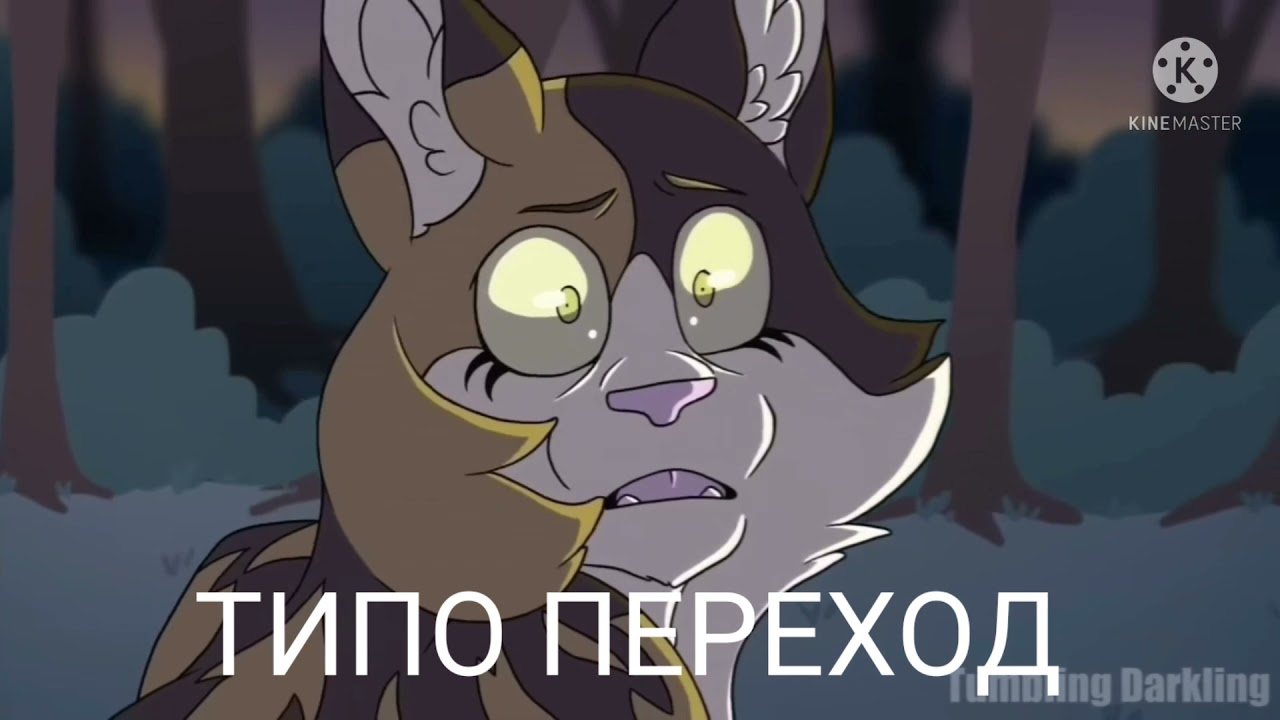 [Реакция котов воителей на меме] |гача клуб| (моя первая реакция)