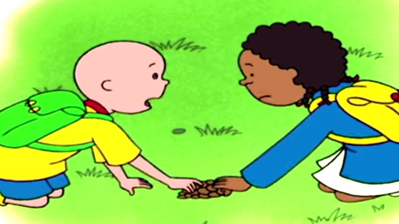 Caillou és a Fenyőtoboz | Caillou Magyarul - WildBrain