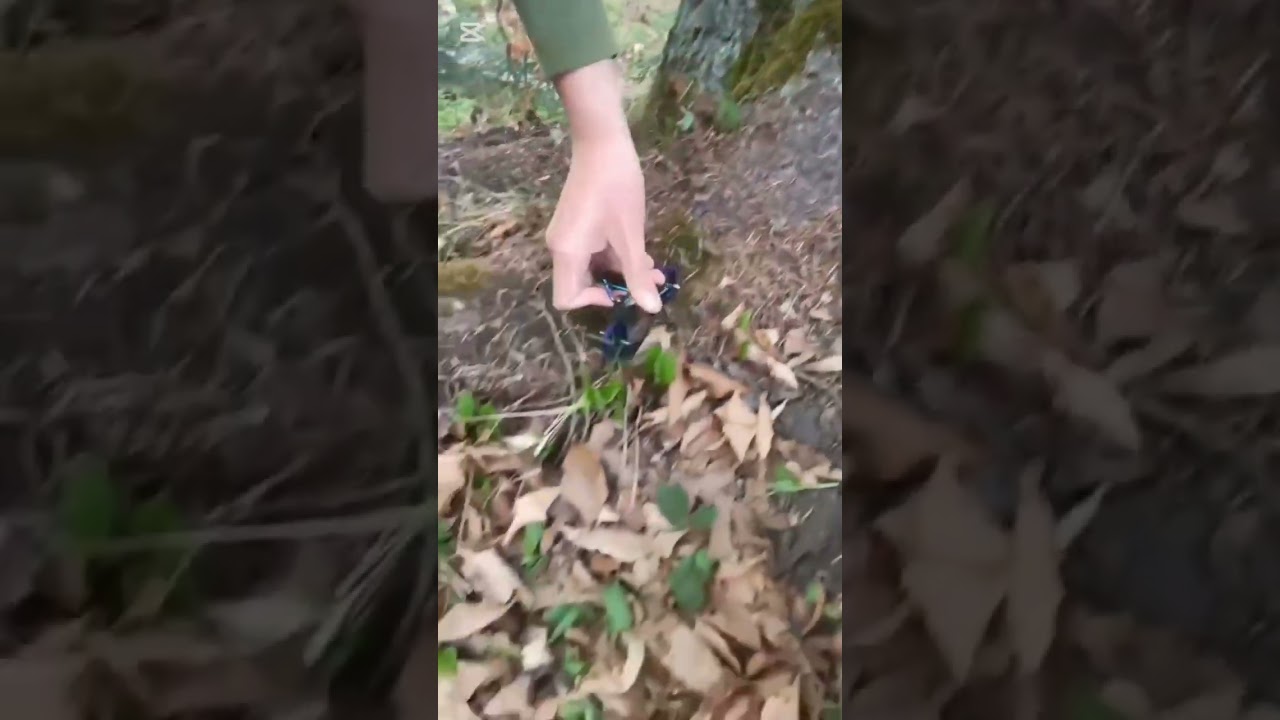forest sesh at finger bmx#bike #fingerboard #bmx #fingerbmx #fingerbmx #toys #viralvideo #fyp