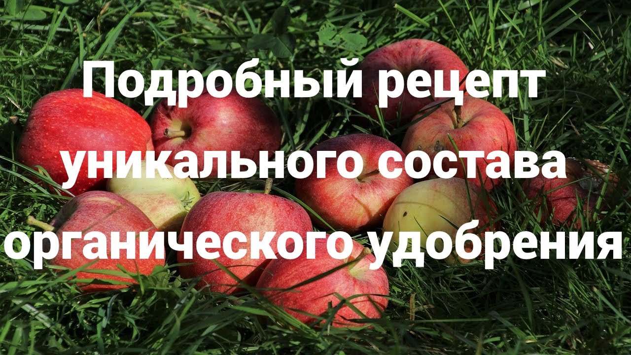 🔥БАРМАТУХА/БОРМОТУХА ДЗАМБОЛАТА РЕЦЕПТ на миллион для аграриев, мелких фермеров, садов и огородов