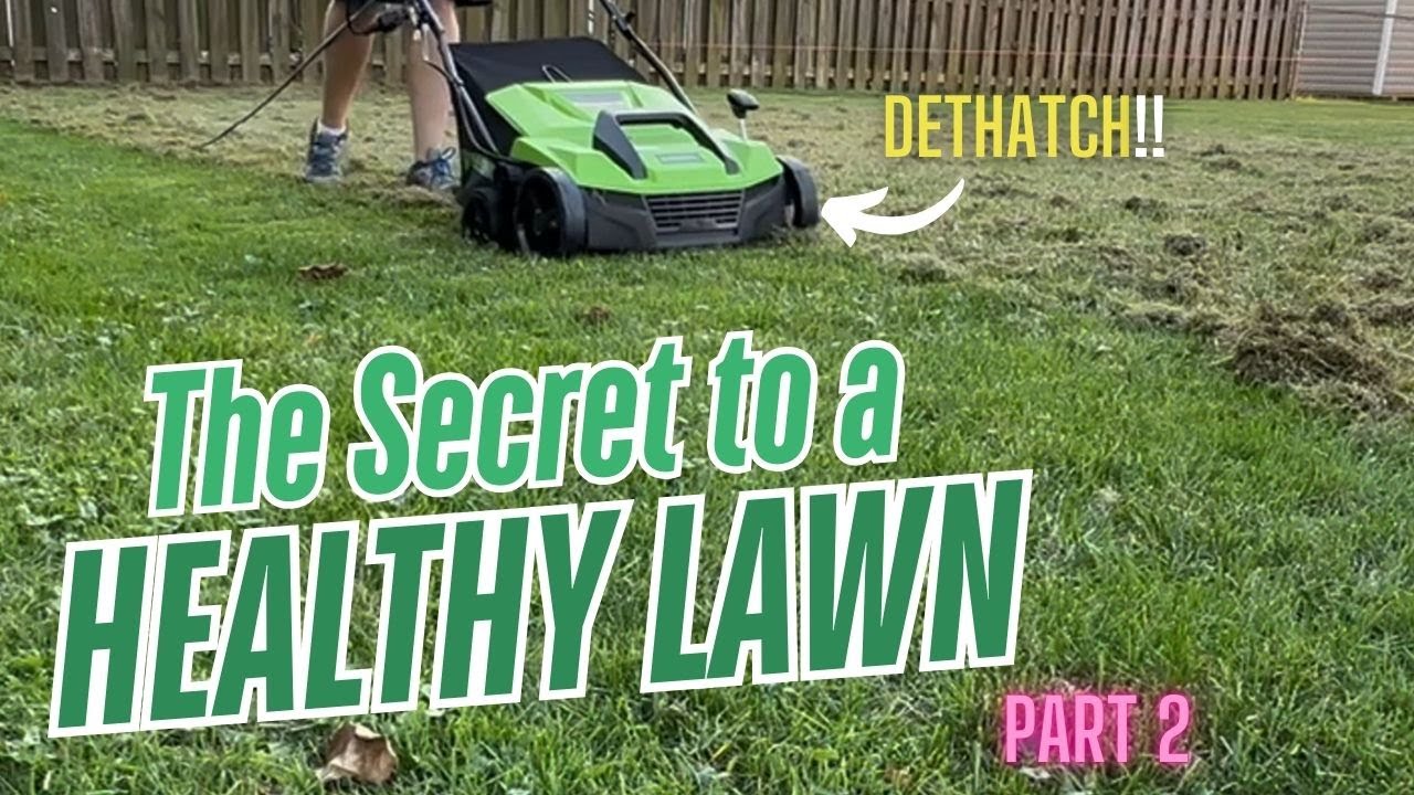 Full Guide: Dethatch Your Lawn with Greenworks DT13B00 | Part 2