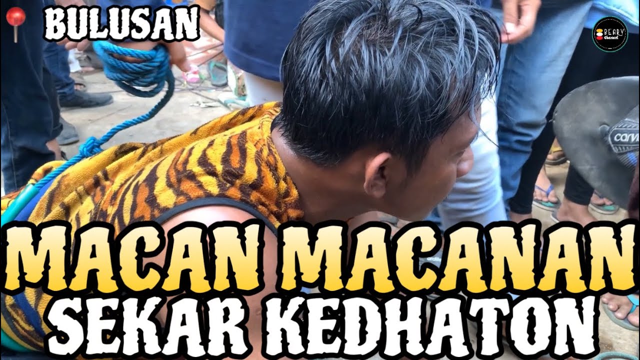KEBLAK KEBLAK Live BULUSAN || MACAN MACANAN SEKAR KEDHATON