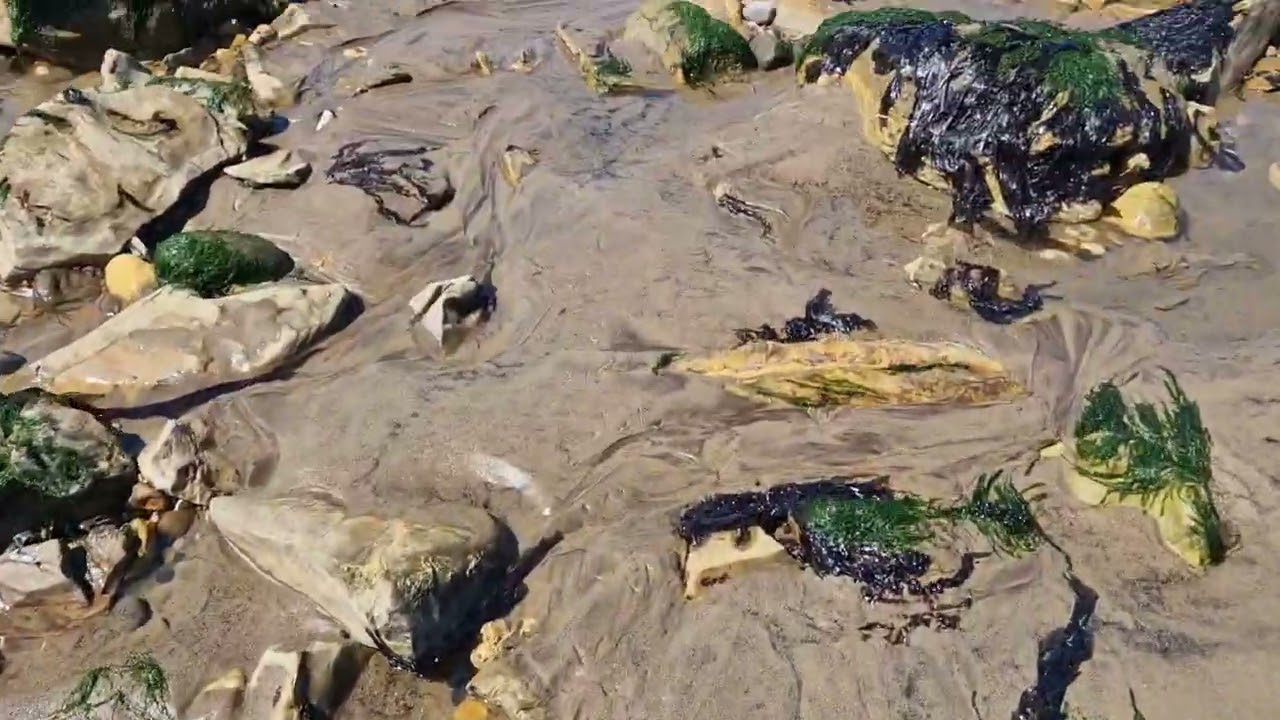 Crimdon Dene beach walk.