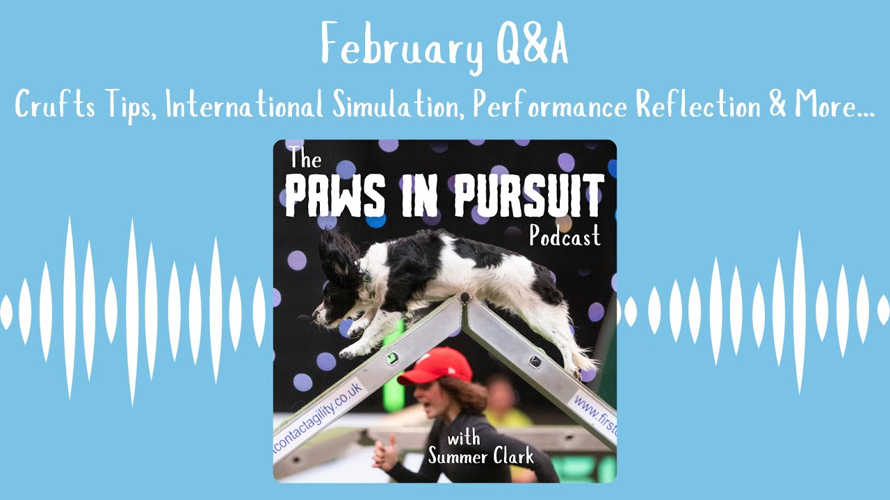 February Q&A - Crufts Tips, International Simulation, Performance Reflection & More…