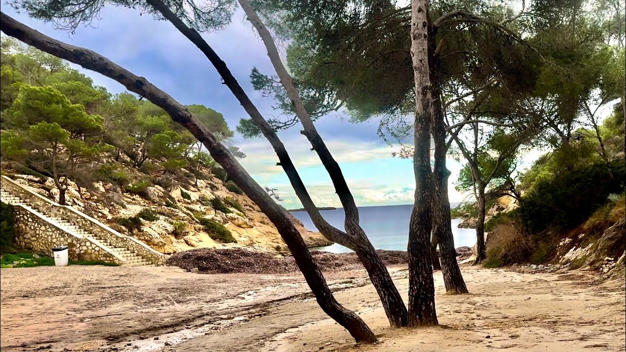 Cala Cap Falco 💙 Lieblingsplatz 🌴 Bucht von Palma 💙 Mallorca 🇪🇸 Seegras Berge ⛰️ längste Treppe