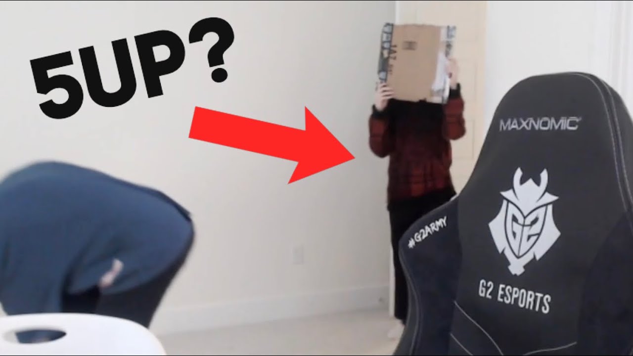 5box moments from hafu's bday stream!