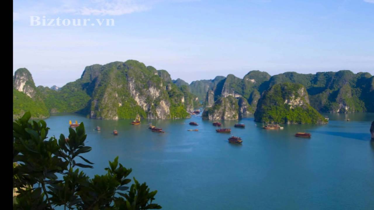 Halong bay - Biztour - Bai Tu Long Junk