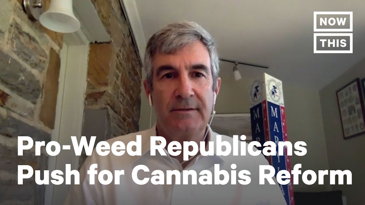 Pro-Weed Republicans Pushing For Cannabis Reform | NowThis