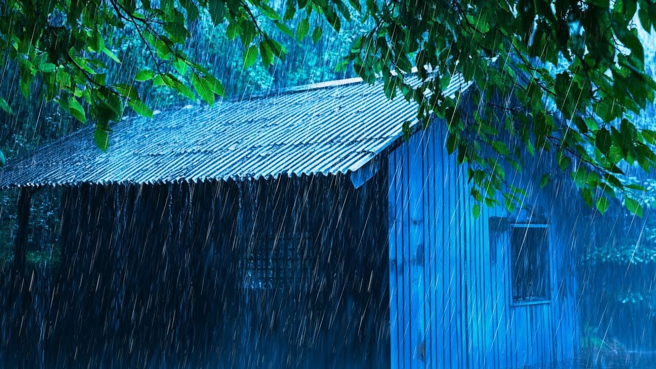 Heavy Rain at Night | Relaxing Storm Sounds for Sleep & Relax