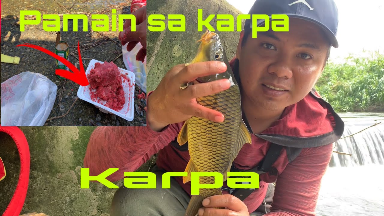 CATCH AND COOK:MABISANG PAMAIN SA KARPA  AT ADOBO SA GATANG KARPA