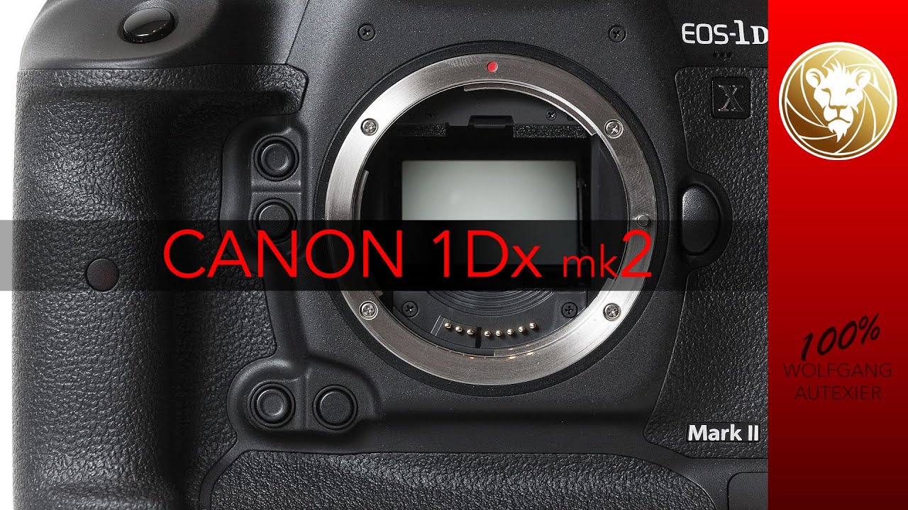 Canon 1Dx mk2 – intéressant en occasion ?