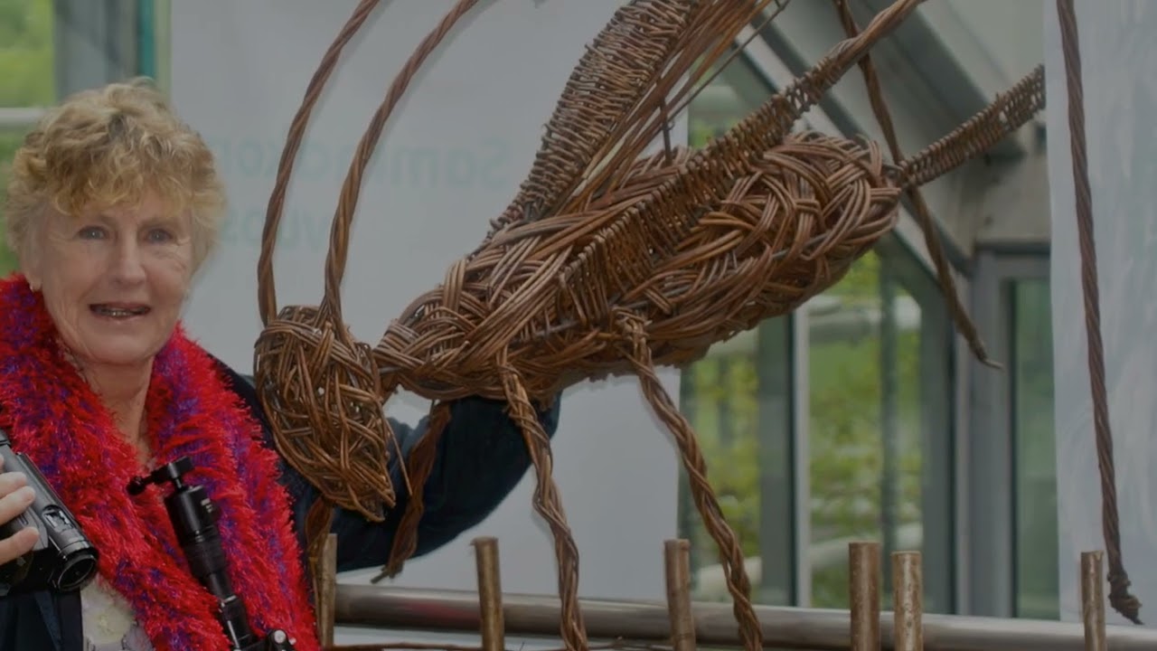 Norway 3  Helsinki Zoo