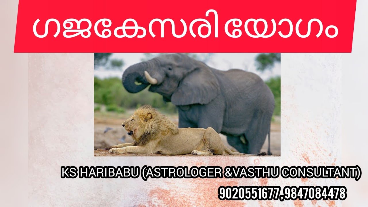 ഗജകേസരി യോഗം| Gajakesari yoga | Malayalam Astrology | Astrology 2020 | K S HARIBABU |