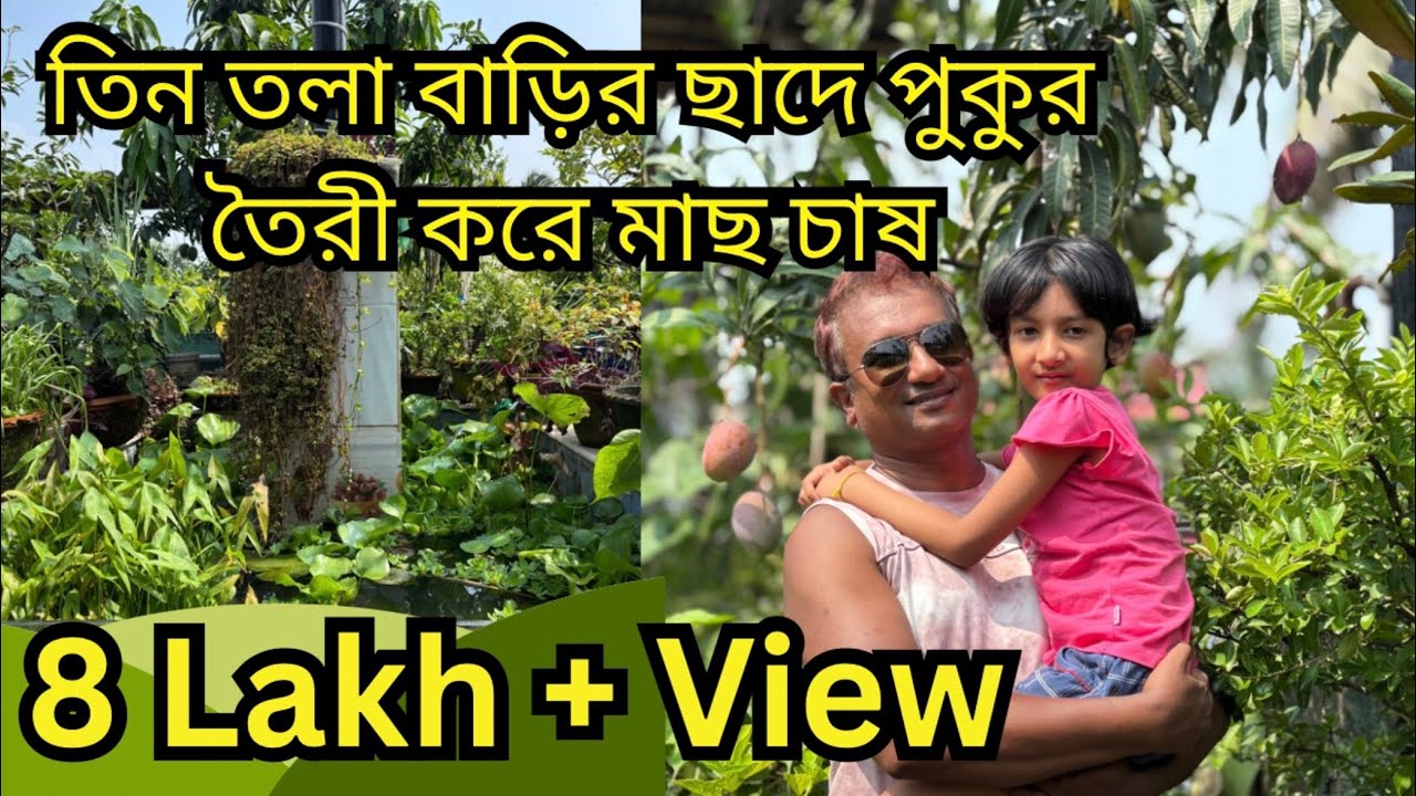 তিন তলা বাড়ির ছাদে পুকুর তৈরী করে মাছ চাষ | ছাদেই বিরাট হিমসাগর আম গাছ সহ বাগান | Talk of trees