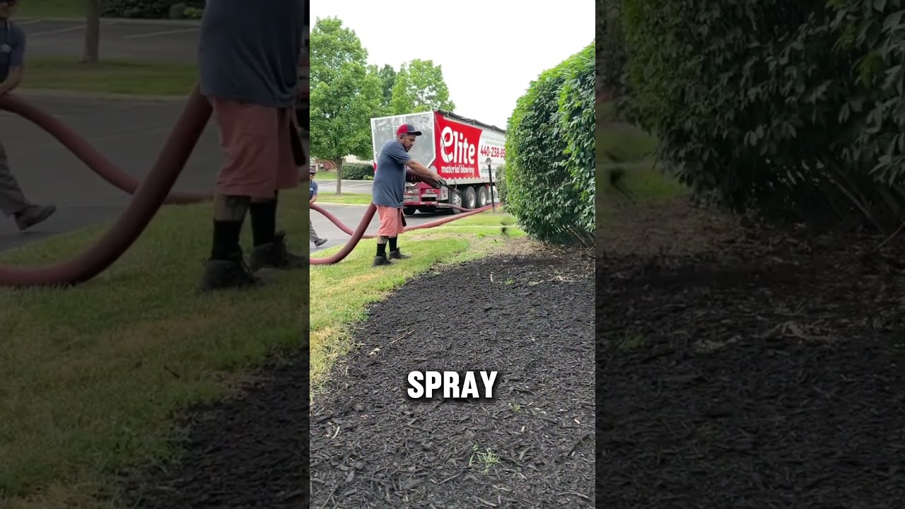 In Us This Landscaping System Turn into a Profitable Business #shorts #usa #usashorts #usatoday #us