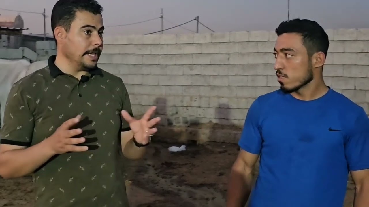 سوق الخيول في اربيل إقليم كردستان العراق