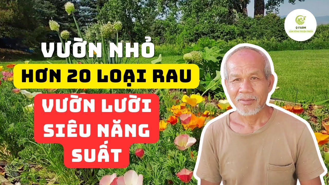 Mẹo làm VƯỜN RAU SẠCH siêu tốc tại nhà - Jon Jandai chia sẻ bí quyết