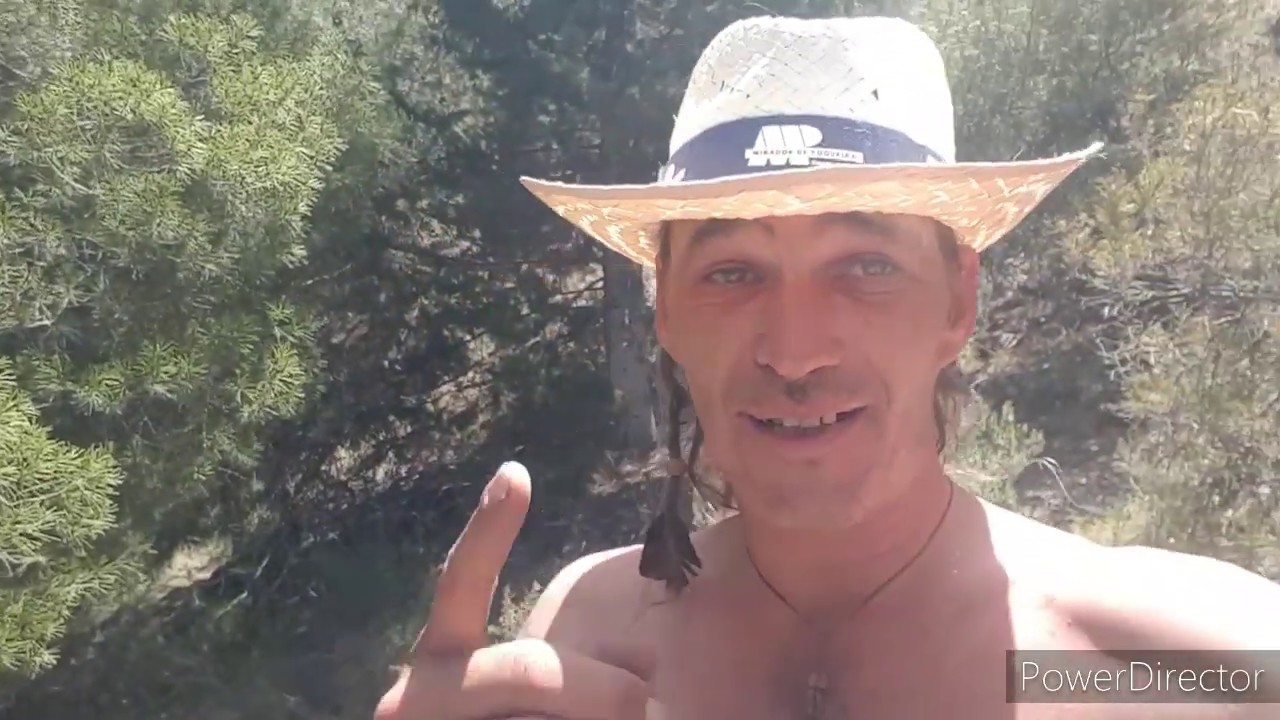 hühner Killer in Beneficio und Pool Bau