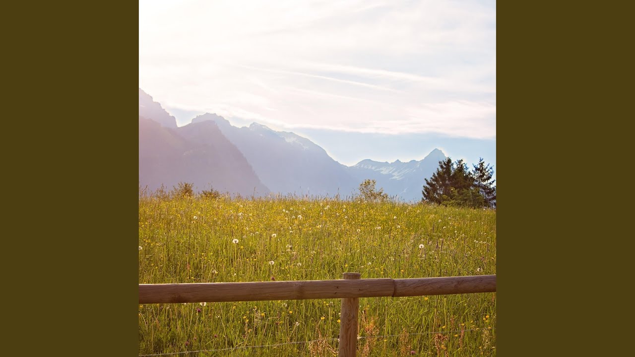 Peaceful Ambient Music With Soft Synth Textures For Mindfulness And Deep Relaxation
